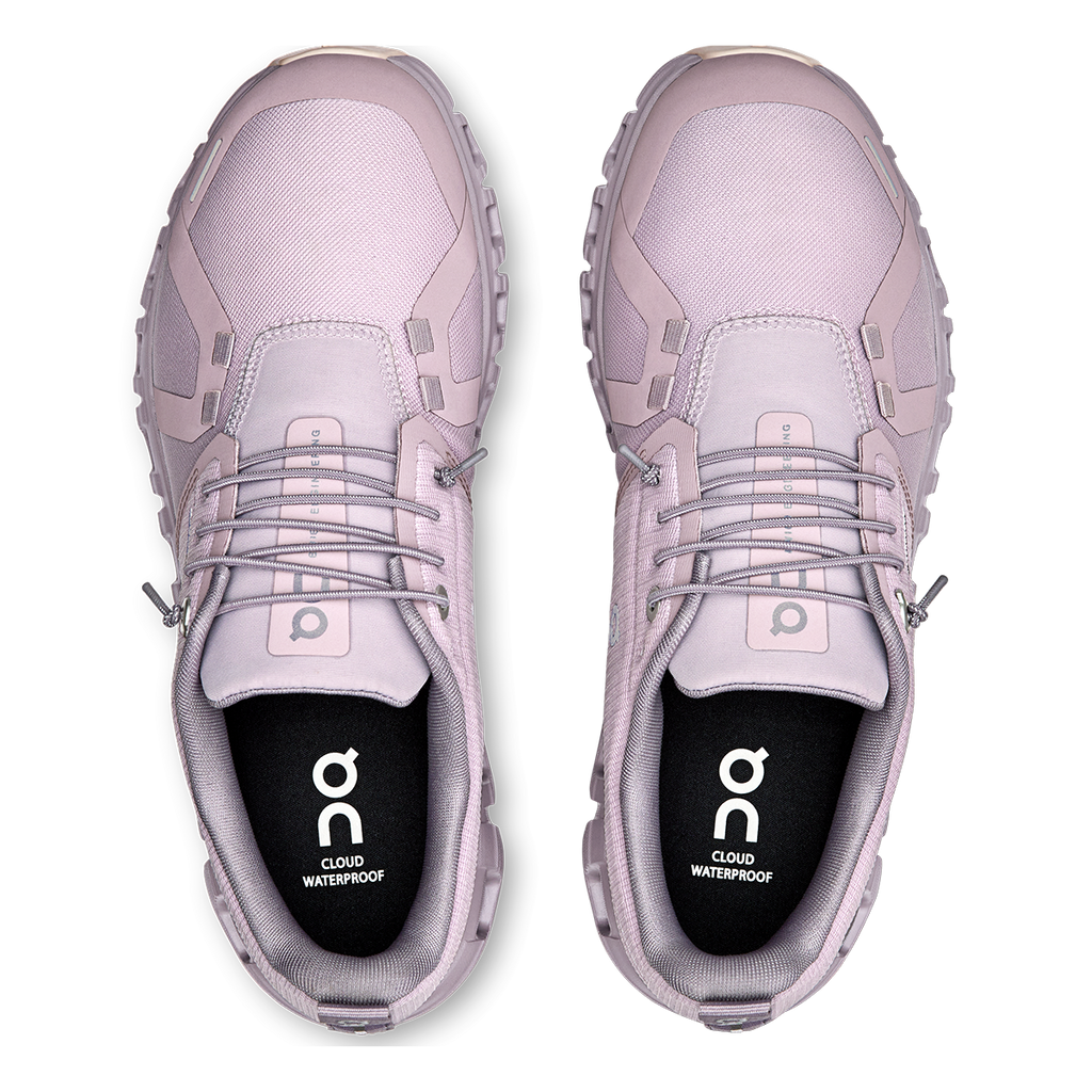 ON Cloud 6 WP